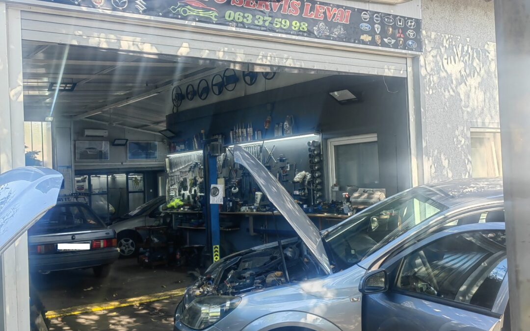 AUTO SERVIS LEVAI – LM MAXIM